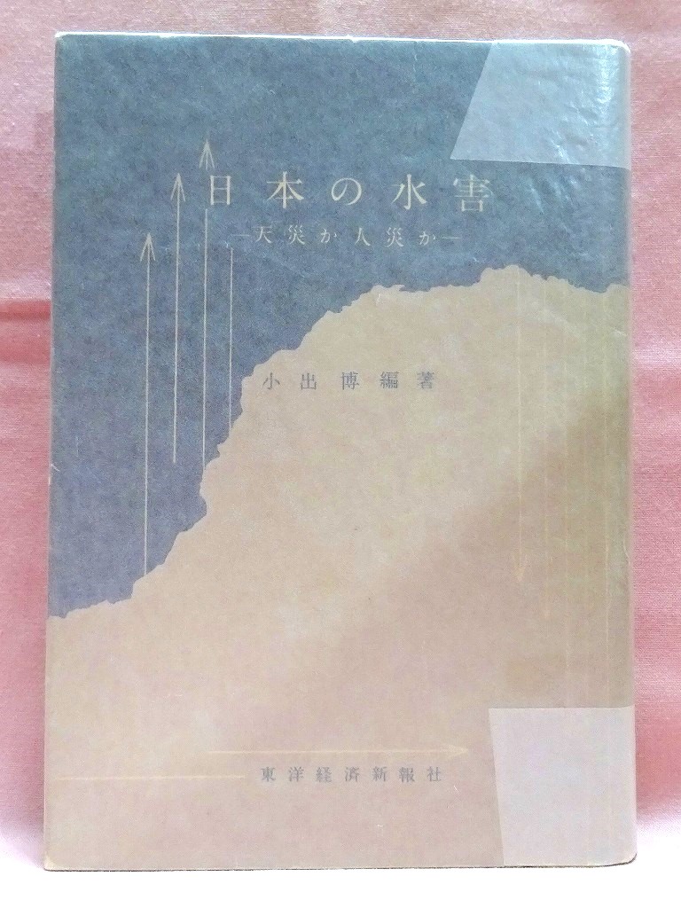 日本の水害